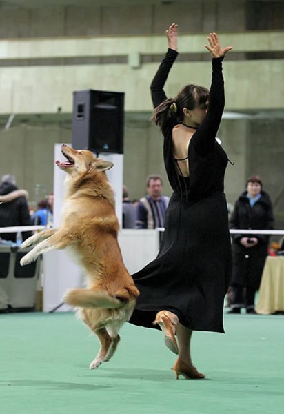 ФРИСТАЙЛ